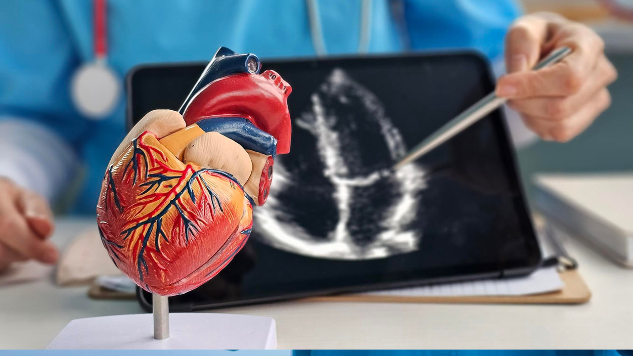 Other Cardiac Services